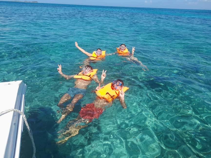 Nassau: Swimming with Pigs, Snorkeling, and Sightseeing Tour - Pig Island Beach Stops and the Optional Pig Swim