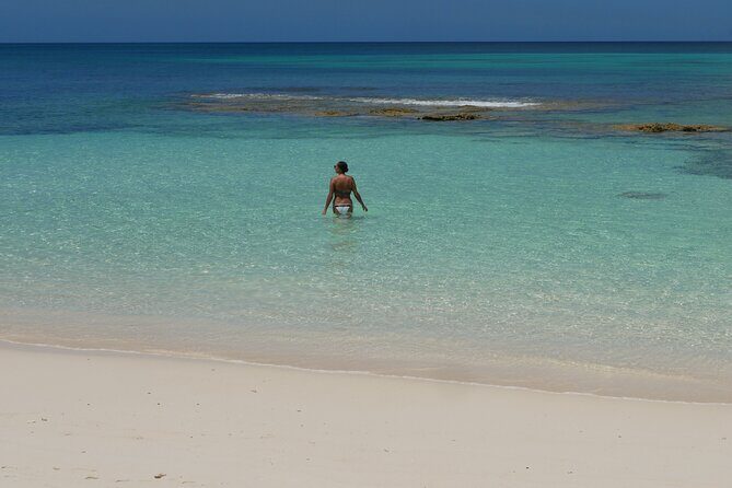 Nirvana Private Beach & Restaurant Round Trip Transportation - Who This Beach Transfer Fits Best
