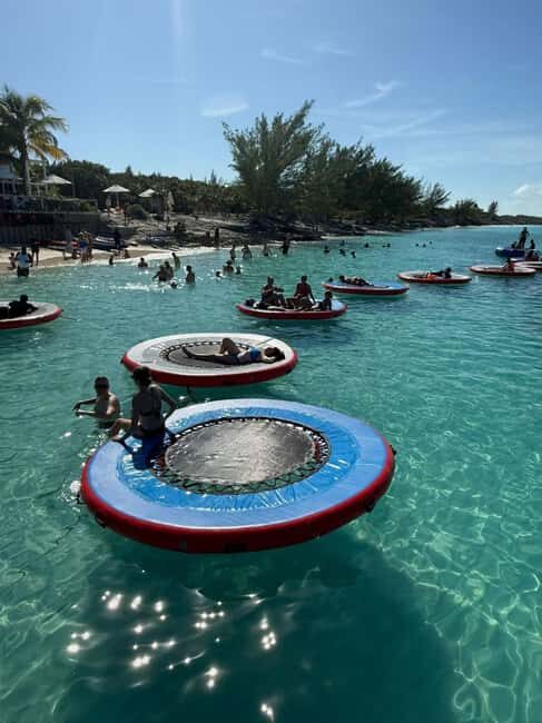 Paradise Found In Hog Haven: Ultimate Beach Escape - Quick hits before you go