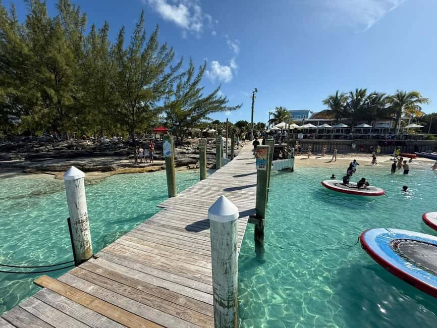 Paradise Found In Hog Haven: Ultimate Beach Escape - A beach break that starts with pigs