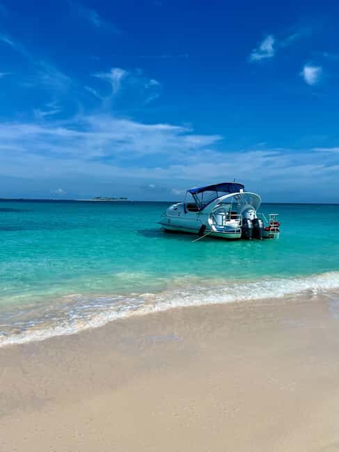 Paradise Island: Glass-Bottom Boat Tour with Live Commentary - Live commentary that connects Nassau Harbor stories to climate change