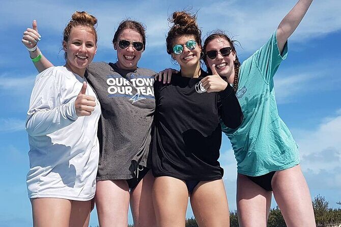 Powerboat and Snorkel Experience with Swimming Pigs and Turtles - Green Cay turtles: the quiet high point