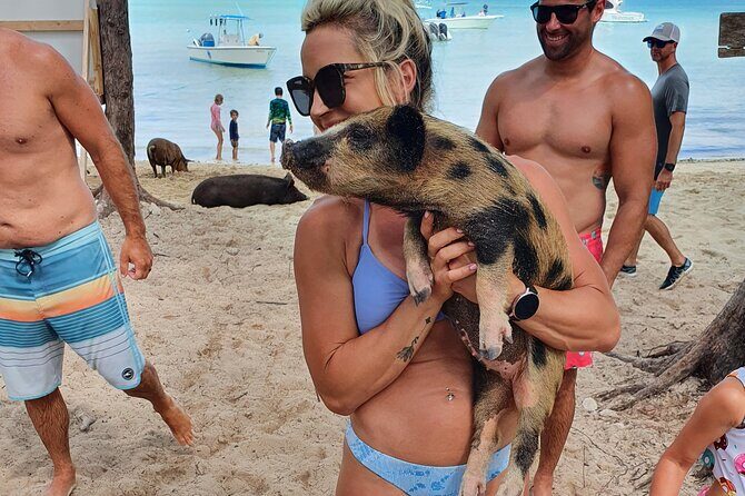 Powerboat and Snorkel Experience with Swimming Pigs and Turtles - Price and value: why $145 can make sense here