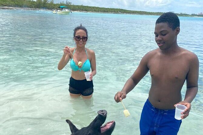 Powerboat and Snorkel Experience with Swimming Pigs and Turtles - Swimming pigs on the cay: fun up close, follow the crew’s lead
