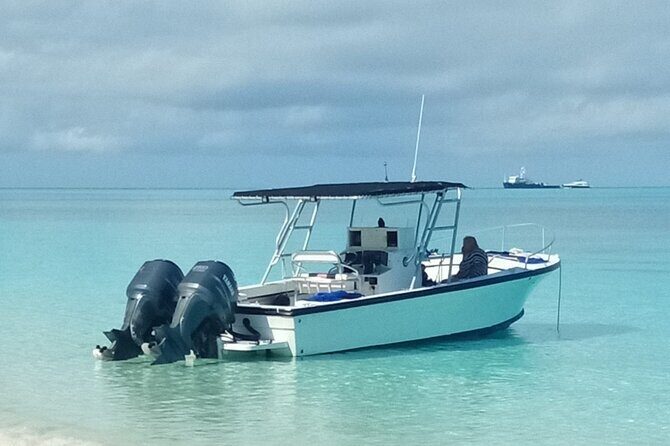 Private 4 hour Rose Island tour snorkeling fishing - Key highlights