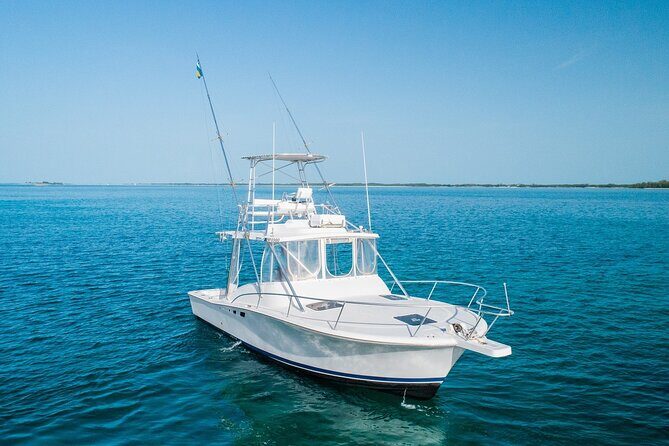 Private Bahamas Half-Day Fishing Tour from New Providence - Weather and comfort: the real-world considerations