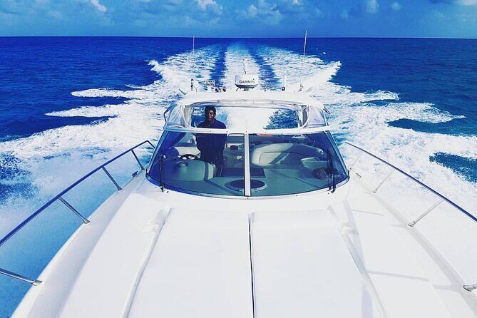 Private Beach Day / 50ft Sun Seeker or 33ft Boat / 1-10 Guests - Green Cay and Wild Green Turtles: Your First Ocean Stop