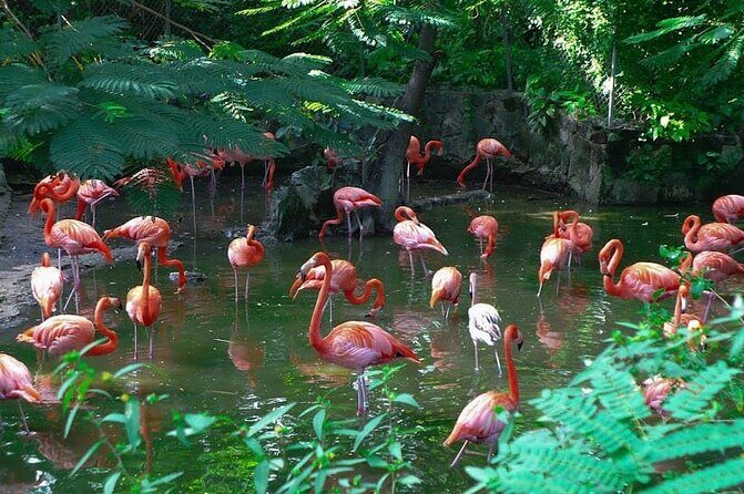 Private Beach Day/Guided TourThrough New Providence Island - Key highlights to know before you go