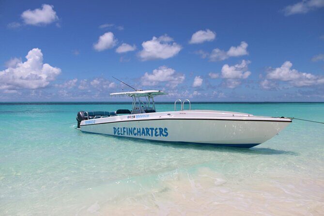 Private Boat Swim and Snorkel Adventure to Rose Island - Key things to know before you go
