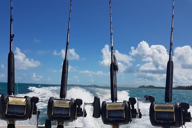 Private Charter for snorkeling, swimming pigs, turtles & fishing.... - Price at $850 per group: when this charter is good value