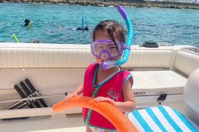 Private Eleuthera Island: Swim With Pigs, Turtles & Stingrays - Pink Sand, Animal Encounters, and a Day on Your Terms