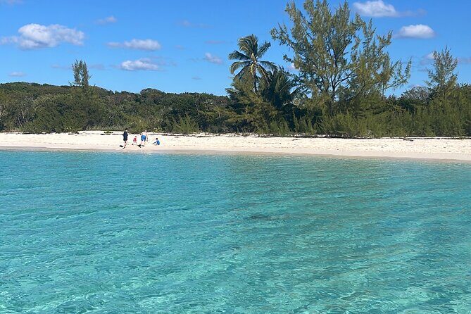 Private Eleuthera Island: Swim With Pigs, Turtles & Stingrays - Pig Beach on Eleuthera: The Swimming-Pigs Time You’ll Talk About Later