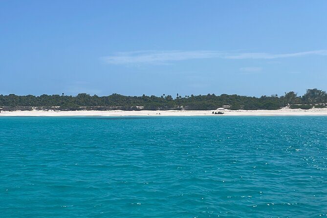 Private Eleuthera Island: Swim With Pigs, Turtles & Stingrays - Pink Sands Beach on Harbour Island: The Beach That Looks Like a Filter