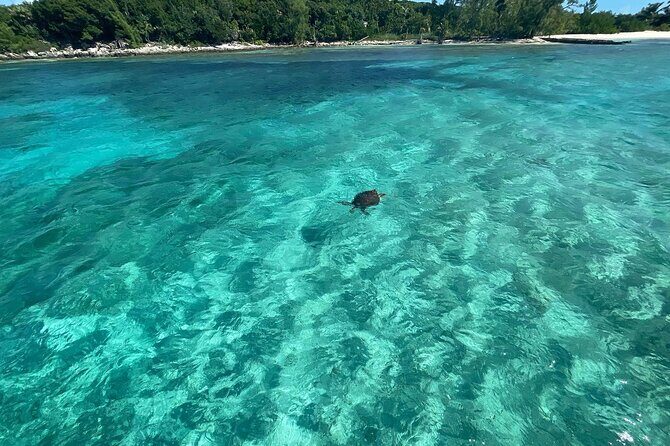 Private Eleuthera Island: Swim With Pigs, Turtles & Stingrays - The Nassau to Eleuthera Boat Ride: Where the Day Starts Moving