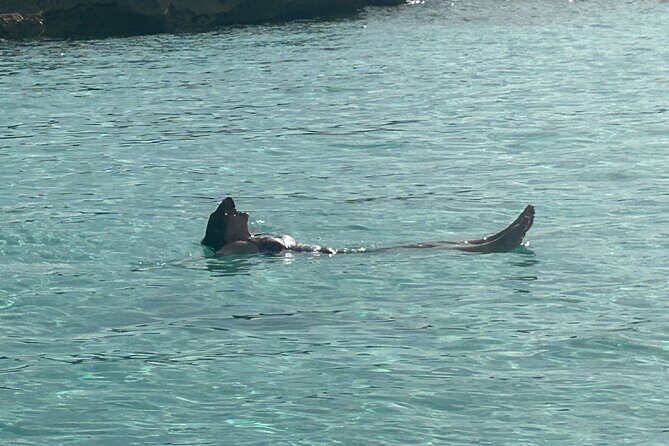 Private Full Day Cruise Tour in Rose Island with Snorkeling - Nassau to Rose Island: the “scenery part” you shouldn’t rush