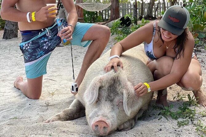 Private GroupTour Pigs/Turtles/Snorkeling/Lunch/Pickup/Dropoff - Key Points You’ll Care About