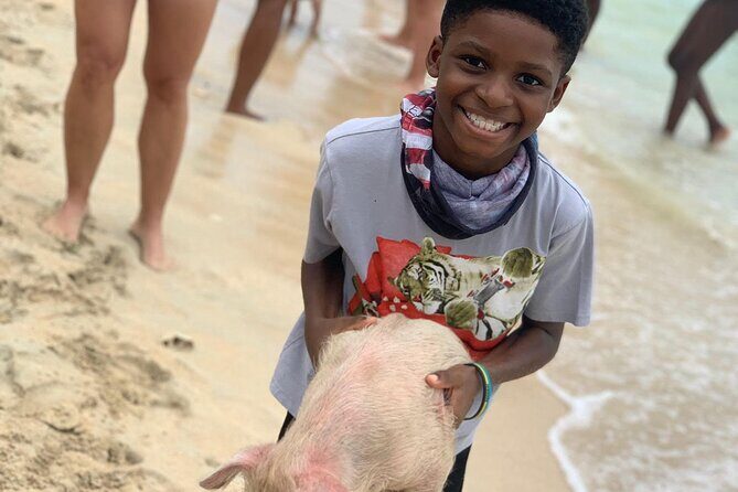 Private GroupTour Pigs/Turtles/Snorkeling/Lunch/Pickup/Dropoff - Swimming Pigs, Turtle Swim, Snorkeling, and Conch in One 4-Hour Loop