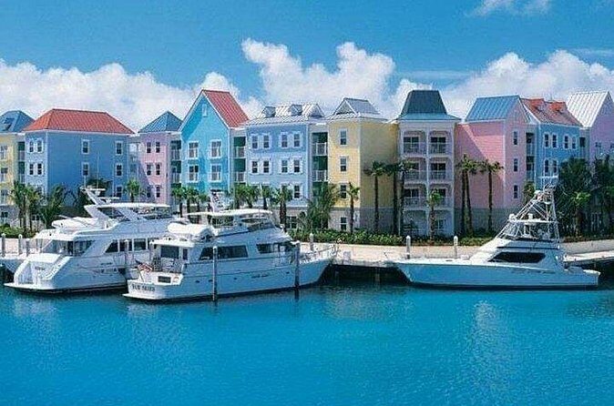 Private Roundtrip Minivan Airport Transfer to Paradise Island - Tipping, service animals, and the small rules that affect your day