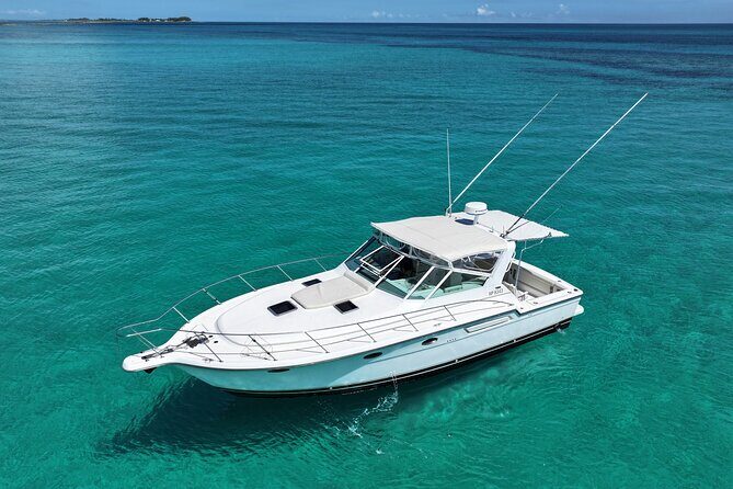 Private Snorkeling or Fishing Charter in Nassau - 38ft Free Time - Key highlights (what makes this charter worth your time)