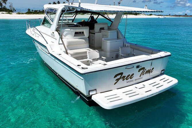 Private Snorkeling or Fishing Charter in Nassau - 38ft Free Time - The value math: is $1,045 per group actually fair?