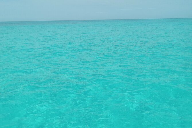 Private speed boat beach and bar hopping visiting Rose island - Key highlights at a glance