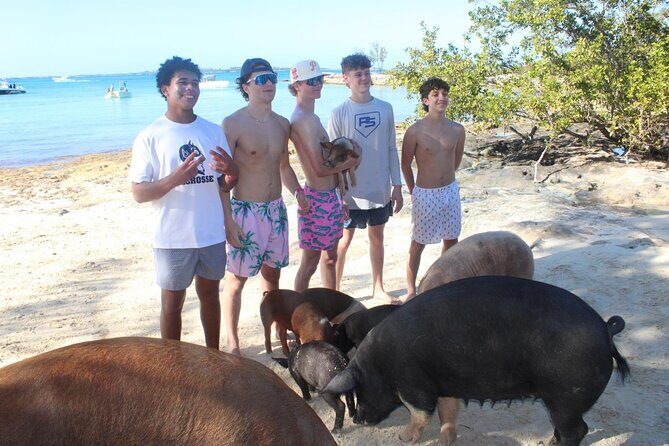 Private speed boat beach and bar hopping visiting Rose island - Private Speed Boat to Three Islands in About Four Hours