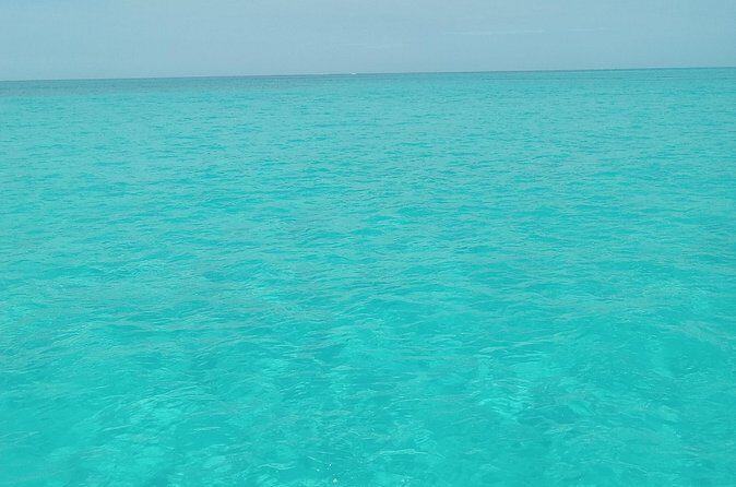 Private speed boat beach and bar hopping visiting Rose island - Snorkeling Moments and the Chance to See Swimming Pigs