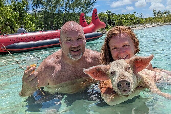 Private Swim With Pigs and Snorkeling in Paradise Tour - Key Things to Know Before You Go