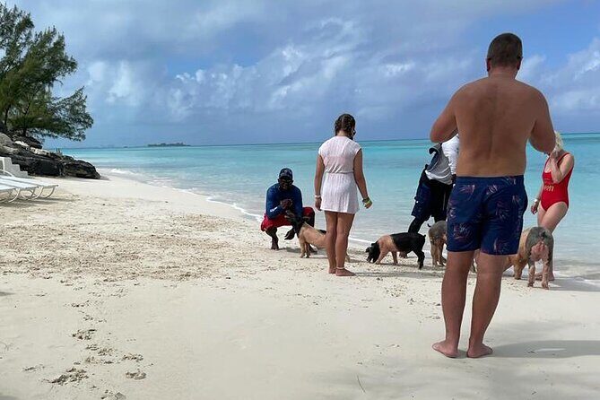 Private Swim With Pigs and Snorkeling in Paradise Tour - Reef Snorkeling: Tropical Fish, Stingrays, and Green Sea Turtles
