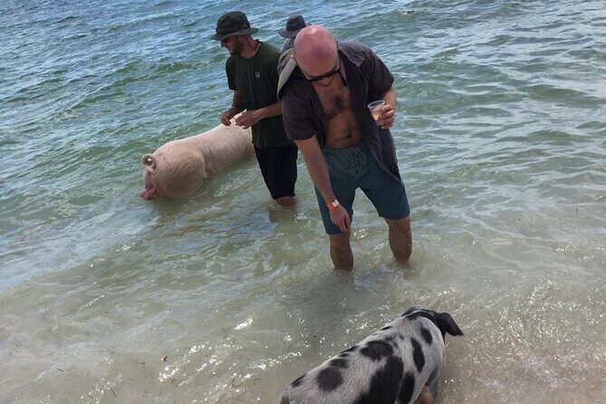 Private Swim With Pigs and Snorkeling in Paradise Tour - Snorkel Gear, Snacks, and the Small Comforts That Matter