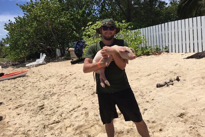 Private Swim With Pigs and Snorkeling in Paradise Tour - Crew That Keeps the Day Comfortable and Fun