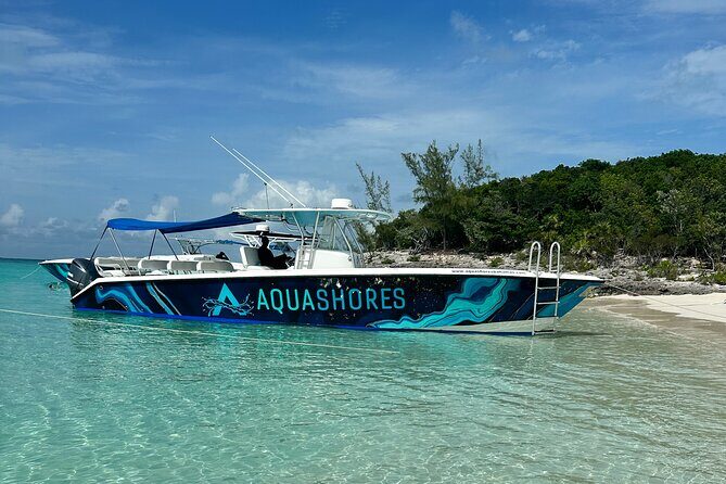Private Tour 45ft Powerboat to Nearby Islands - Rose Island again—and Pig Island interaction for your group size
