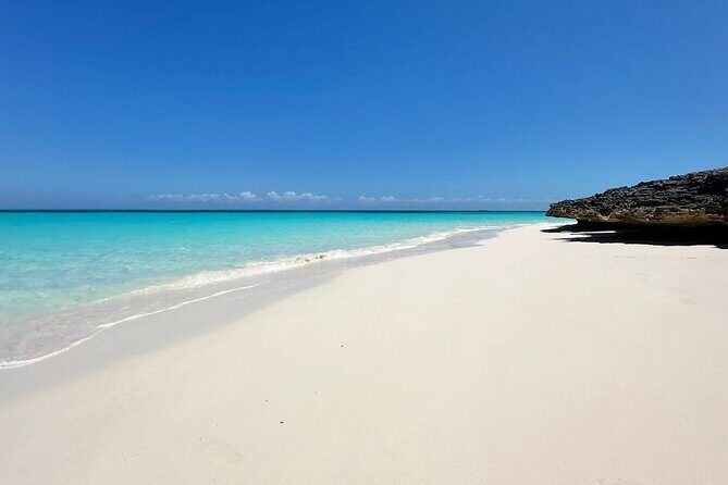 Private Tour 45ft Powerboat to Nearby Islands - Green Turtle Cay: your first snorkel stop and the turtle vibe