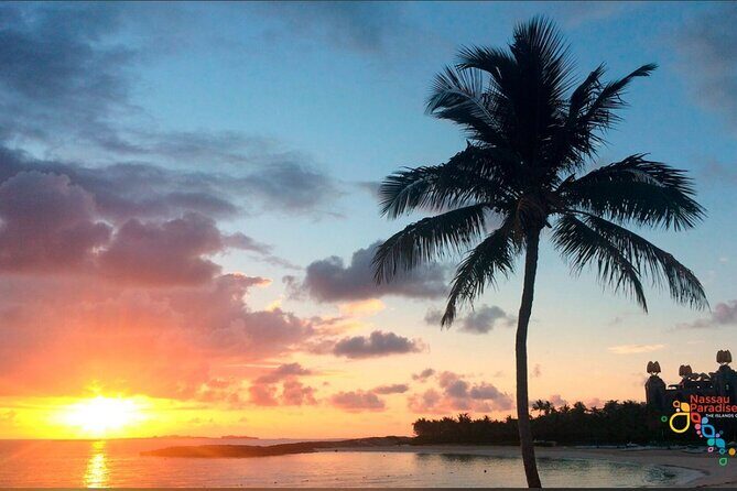 Private Transfer in Nassau (Baha Mar and Surrounding Hotel) - Duration and pacing: what 1 hour 15 minutes feels like
