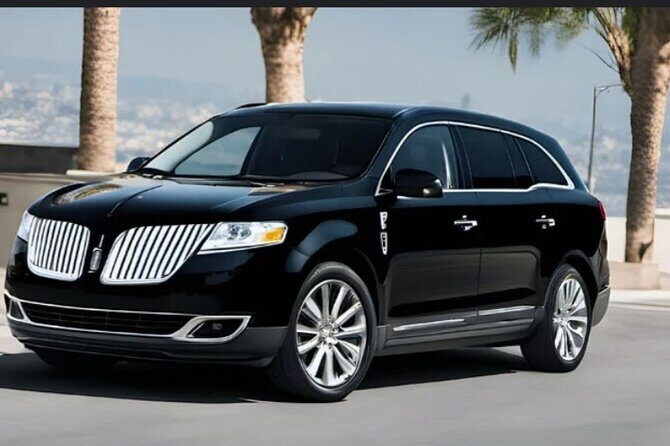 Private Transport to Airport, Hotel, Port in Nassau Bahamas - Drivers you can trust: what the best reviews focus on