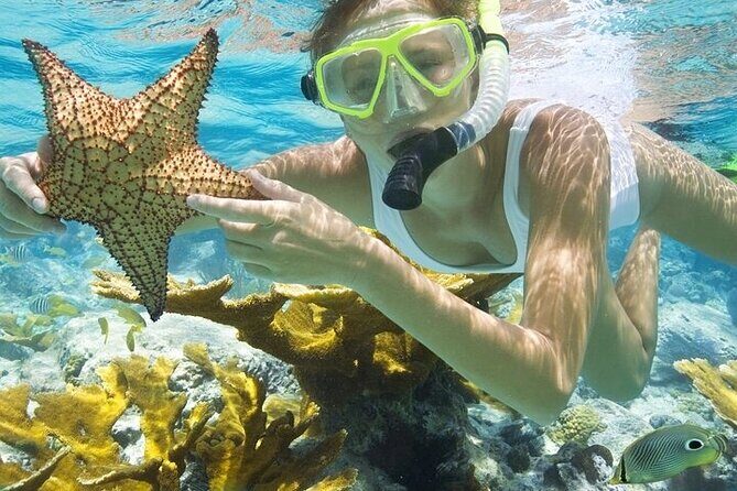 Rose Island Adventure: Snorkel, Sea Turtles, and Private Beach - Speedboat Start at Margaritaville: What the First Hour Feels Like