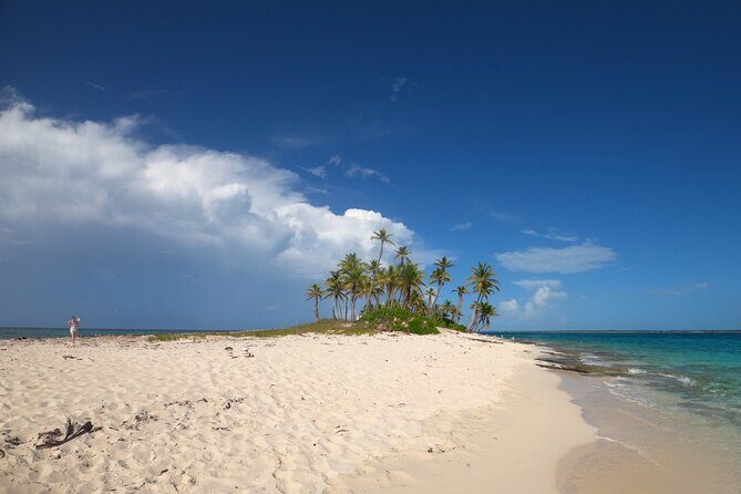 Rose Island Adventure: Turtle Swim and Snorkel - Key Things That Make This Tour Work