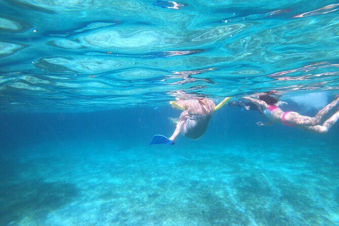 Rose Island Adventure: Turtle Swim and Snorkel - Group Size and Crew: What Makes It Feel Safe and Friendly
