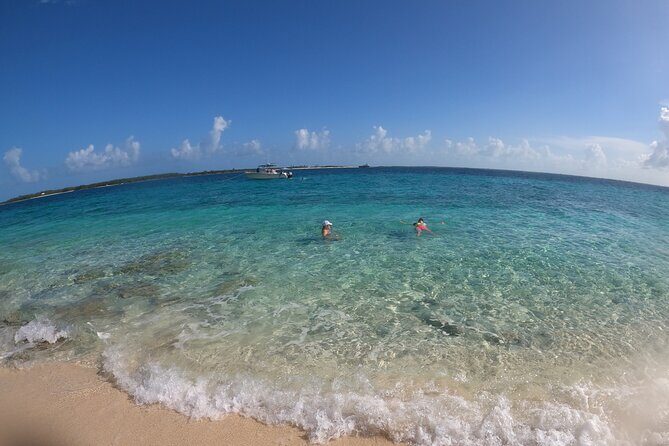 Rose Island Adventure: Turtle Swim and Snorkel - Should You Book Rose Island Adventure: Turtle Swim and Snorkel?