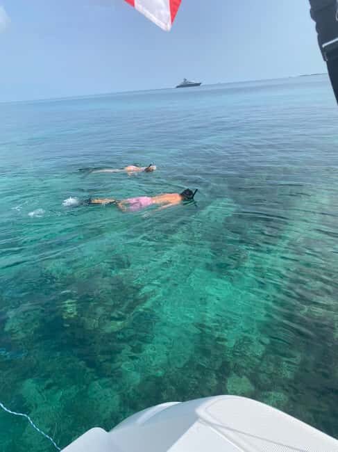 Rose Island: Pig Beach, Snorkeling, Sea Turtles, Beach - What Makes This Rose Island Day Trip Worth Your Time