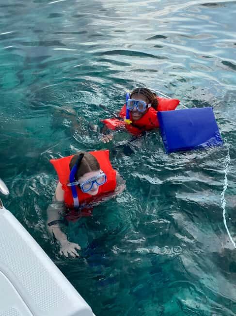 Rose Island: Pig Beach, Snorkeling, Sea Turtles, Beach - Green Cay and Sea Turtles: What You’re Likely Watching For