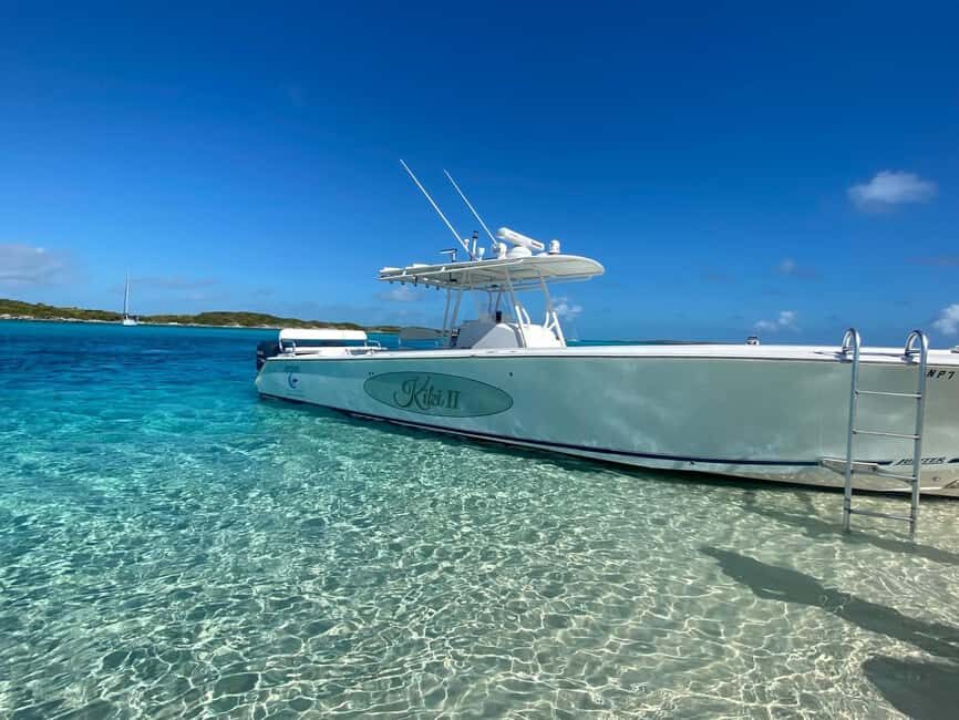 Rose Island: Pig Beach, Snorkeling, Sea Turtles, Beach - Price and Value: Private Group Charter Math (Up to 15)