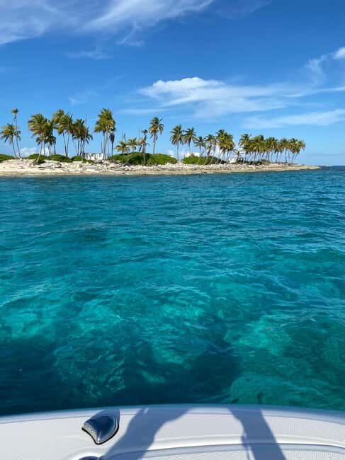 Rose Island: Pig Beach, Snorkeling, Sea Turtles, Beach - Your Stops on the Way: Gilligan’s Island Gets Real