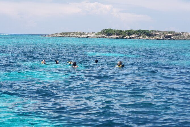 Rose Island: Private Snorkeling, Fishing, and Swimming with Pigs - Fishing that doesn’t feel like homework