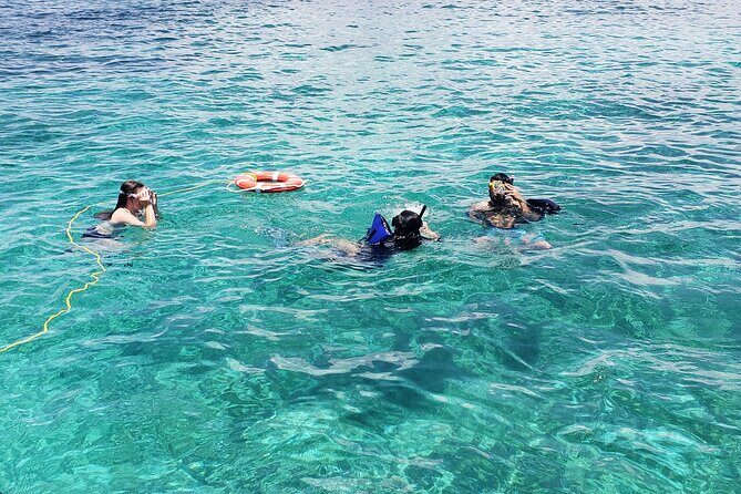 Rose Island: Private Snorkeling, Fishing, and Swimming with Pigs - Price and value: is $850 per group a good deal?