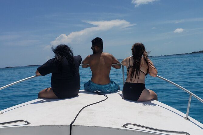 Rose Island: Private Snorkeling, Fishing, and Swimming with Pigs - Who this tour suits best (and who might want something else)