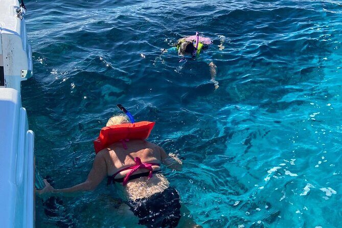 Rose Island Swimming Pigs - Tips to make your day smoother