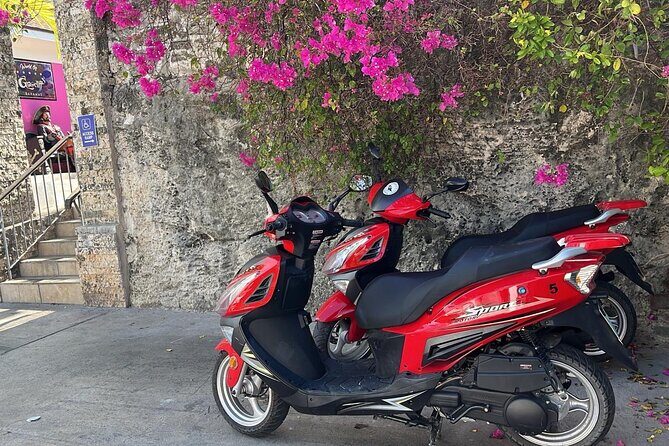 Scooter Rental Nassau - Where you meet: Tourism Police Station on Woodes Rodgers Walk