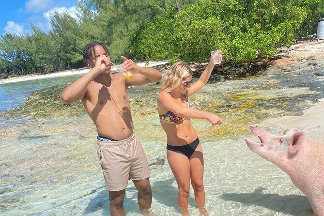 Self Drive Speedboat and Swim with the Pigs - Duration and Group Size: How That Affects Your Day