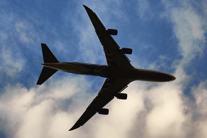 Shared Shuttle Round-Trip Airport Transportation - Arriving at Lynden Pindling International (NAS): no hunting games